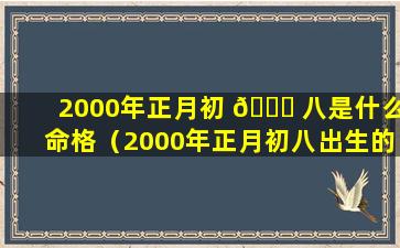 2000年正月初 💐 八是什么命格（2000年正月初八出生的男孩是什 🦋 么命）